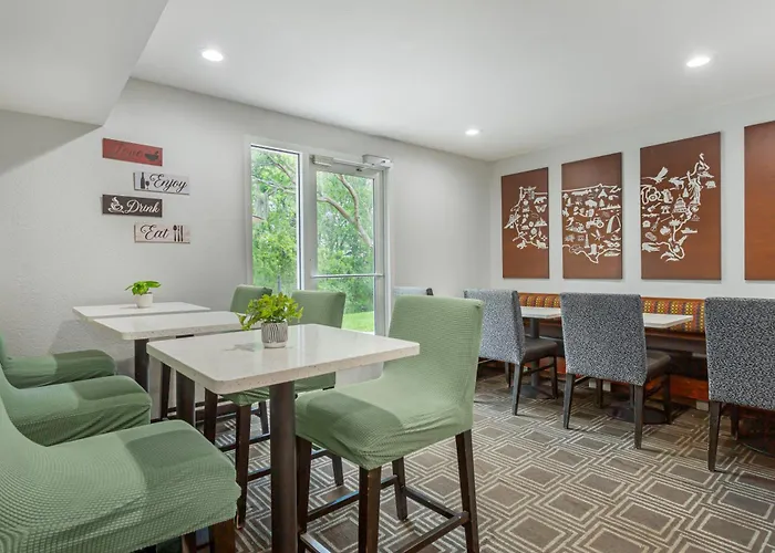 Mainstay Suites Tampa Moffitt-Usf