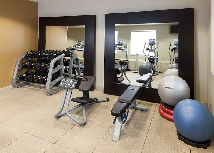 Embassy Suites By Hilton Tampa Brandon